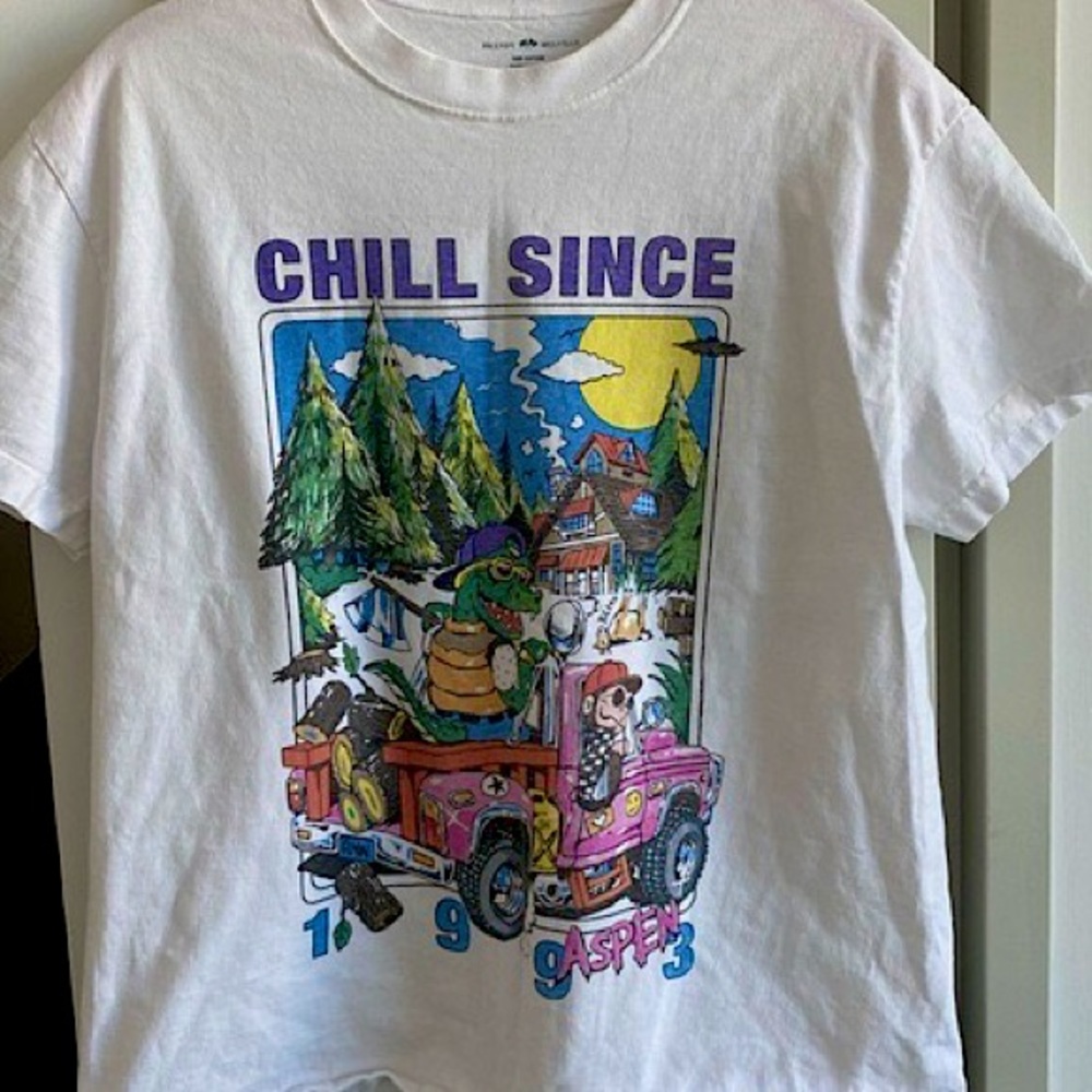 RARE BRANDY MELVILLE CHILL SINCE ASPEN SHIRT! super good condition!